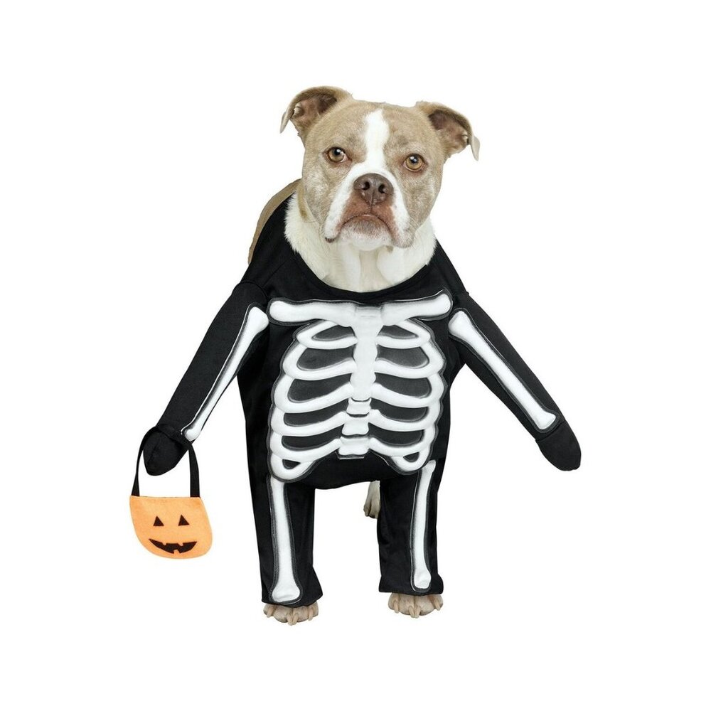 Dog Skeleton Costume With Pumpkin Prop Medium Size